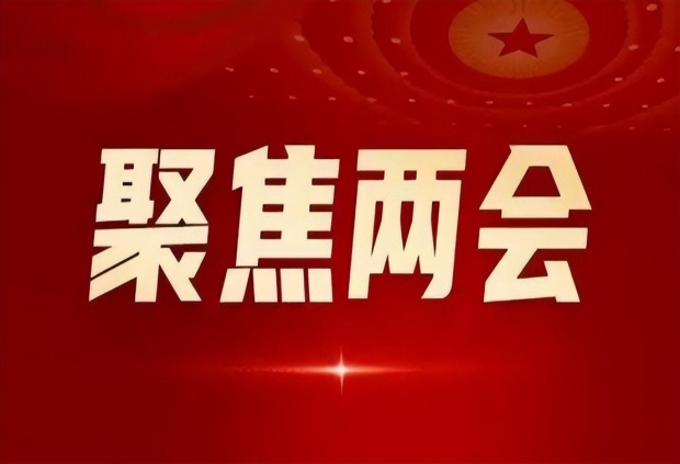 DeepSeek带你看2025两会：AI换脸诈骗犯颤抖吧，打工人涨薪有戏了？